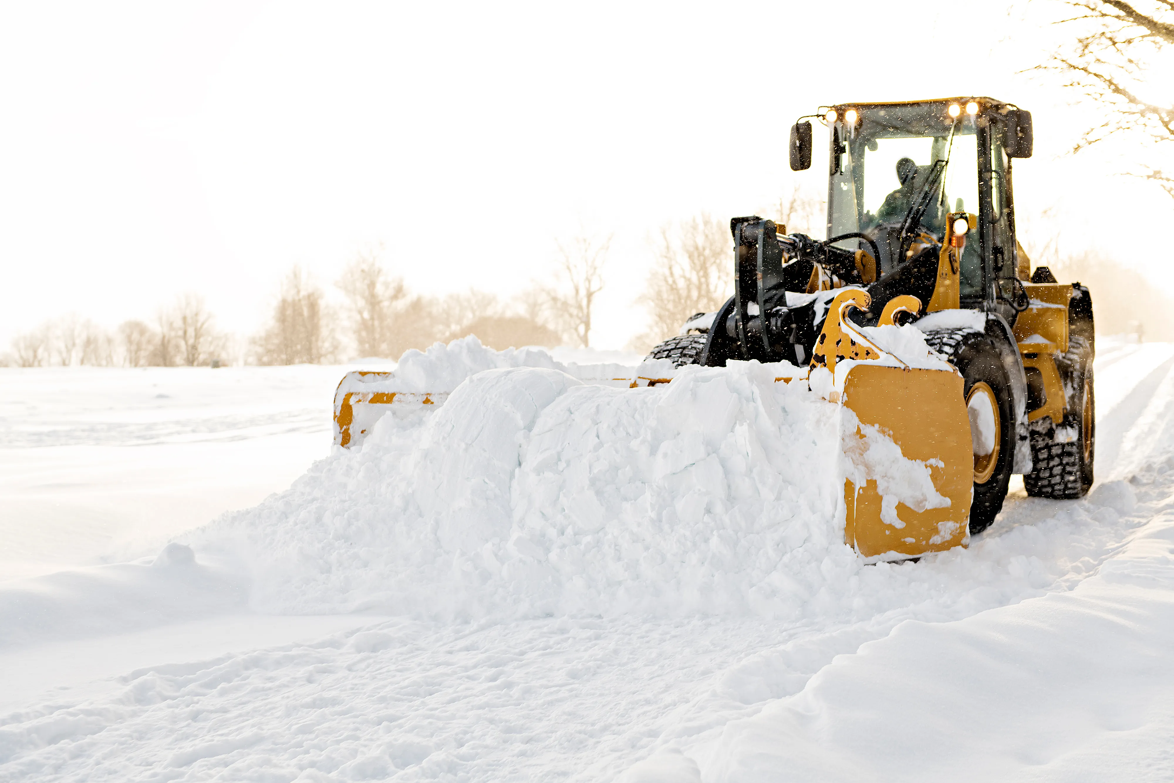 Snow Removal Company
