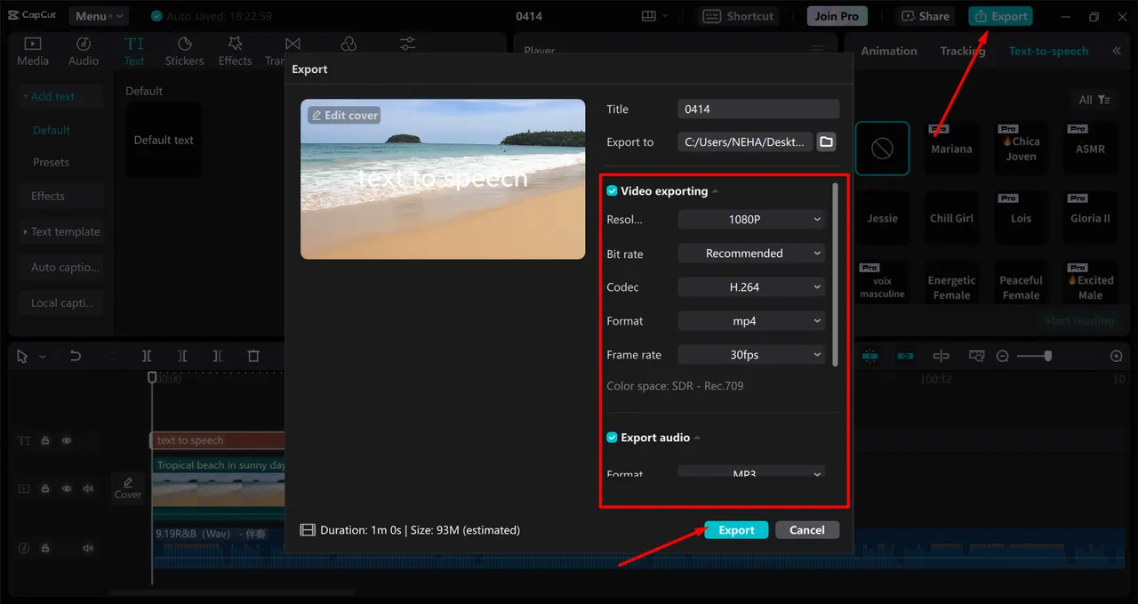 Export Video