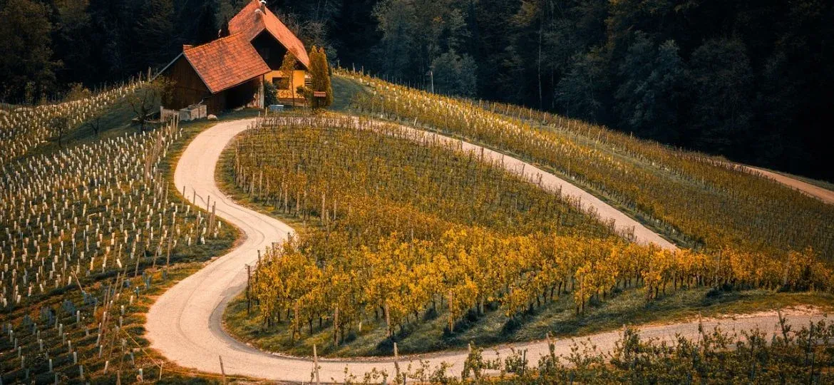 Slovenia Just Made Remote Work Visas Way Easier: What Digital Professionals Need to Know